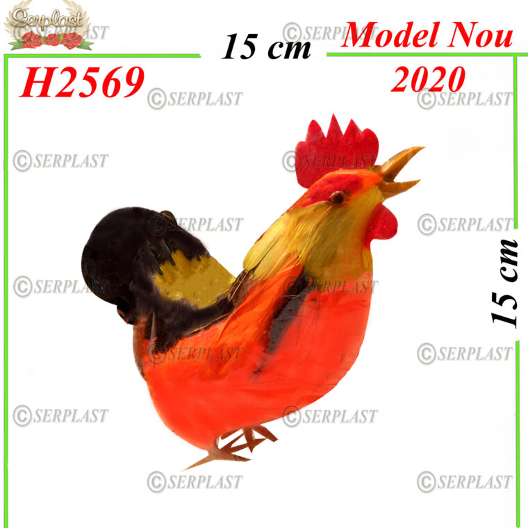 H2569 Cocoş - 
