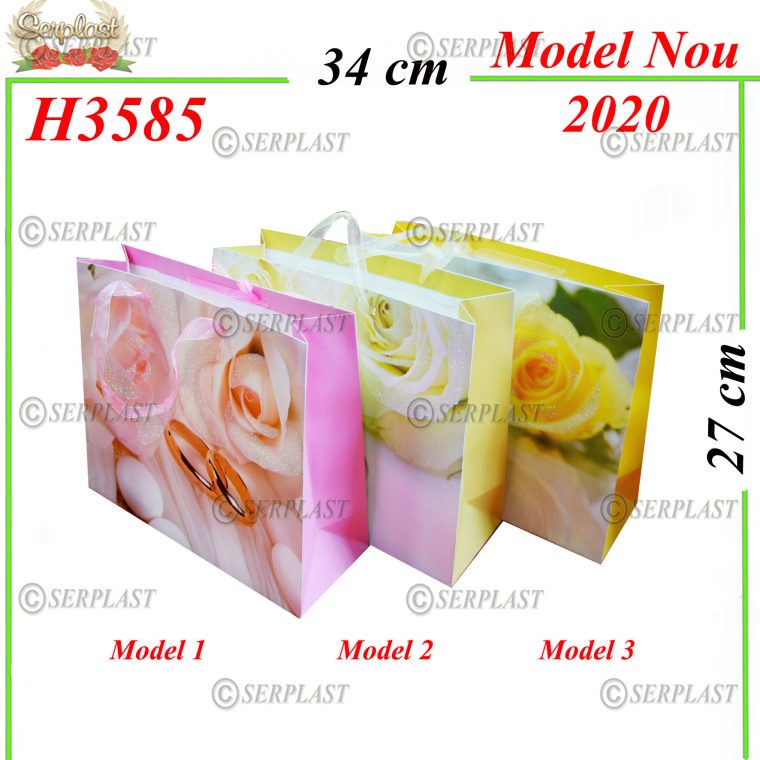 H3585 Pungă cadou-Articole din magazinul nostru