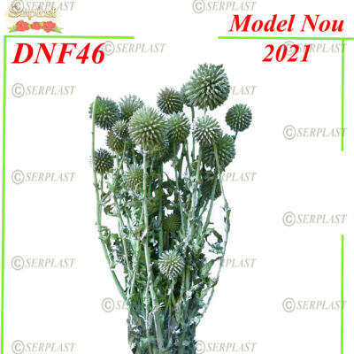 DNF46, Echynops cu fir - Serplast - Decor natural cu fir