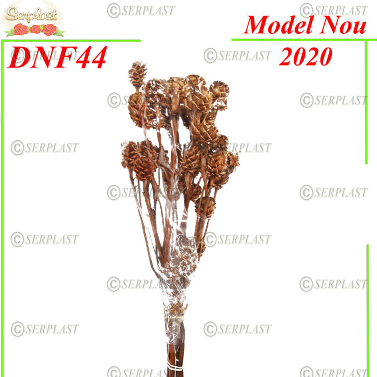  DNF44, Salignum fir - Decor natural cu fir- Serplast