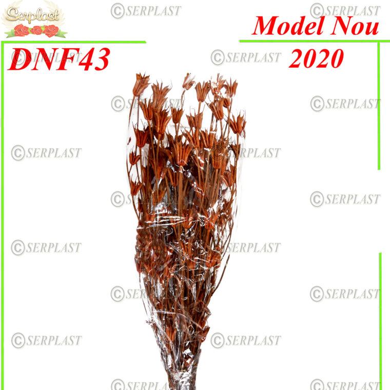DNF43, Nigella oriental - Decor natural cu fir - Serplast