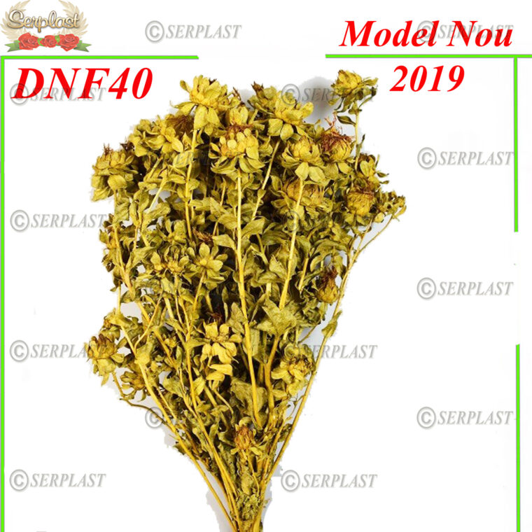 DNF40, Sofran - Decor natural - Serplast