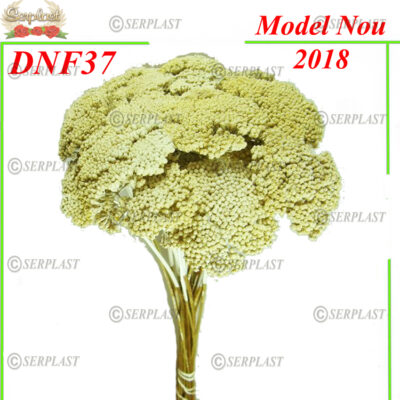 DNF37, Achillea alb cu fir - Decor natural cu fir - Serplast