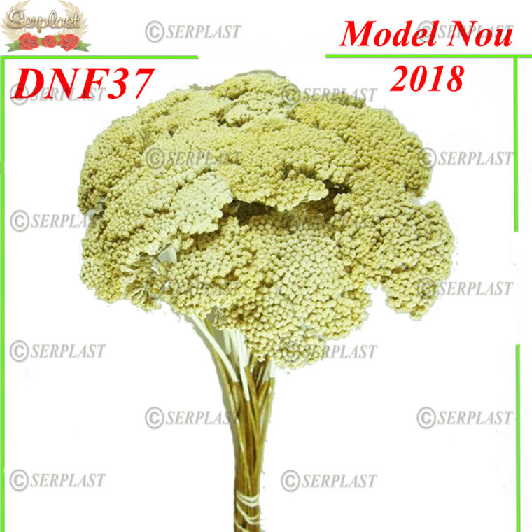 DNF37, Achillea alb cu fir - Decor natural cu fir - Serplast