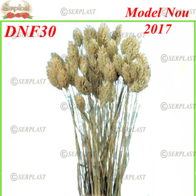 DNF30, Semințe de pin cu fir - Serplast - Decor natural cu fir