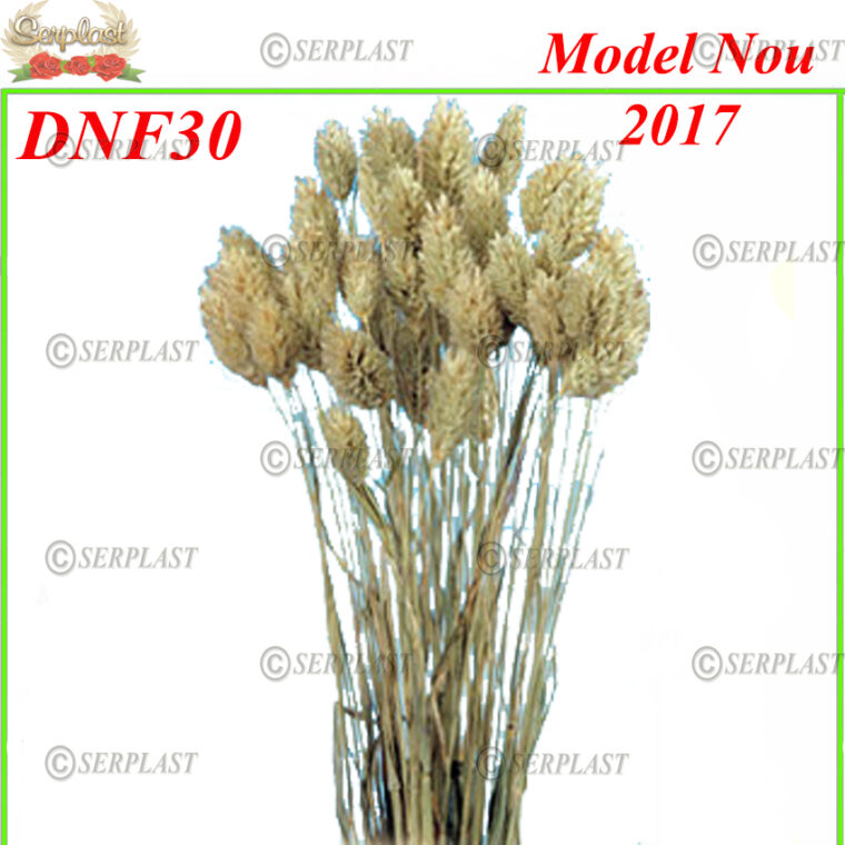 DNF30, Semințe de pin cu fir - Serplast - Decor natural cu fir