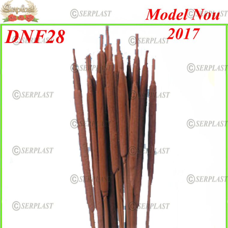 DNF28, Typha indiai natur - Decor natural cu fir - Serplast