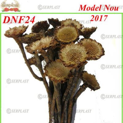 DNF24, Protea Mini - Serplast - Decor natural cu fir