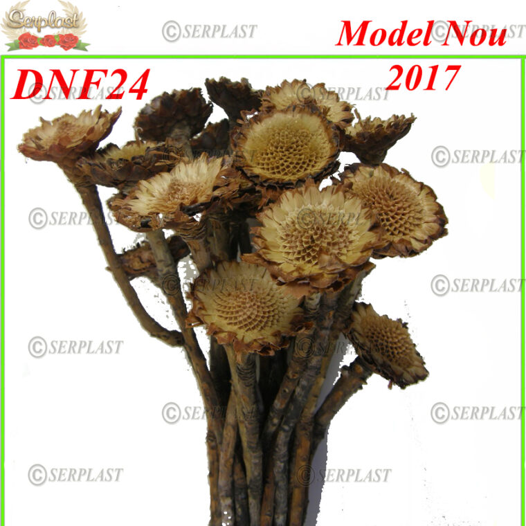 DNF24, Protea Mini - Serplast - Decor natural cu fir