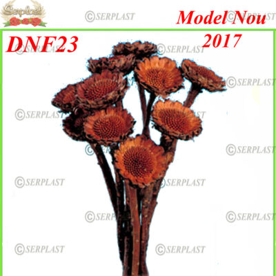 DNF23, Protea - Decor natural cu fir- Serplast