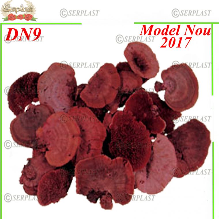 Ciuperca uscata 150gram DN9- Decor Natural -Serplast