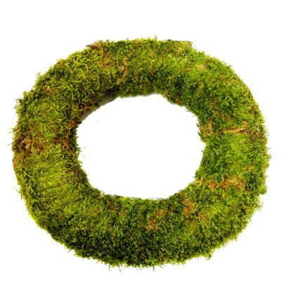 Coroane din Paie cu muşchi mare, COP21