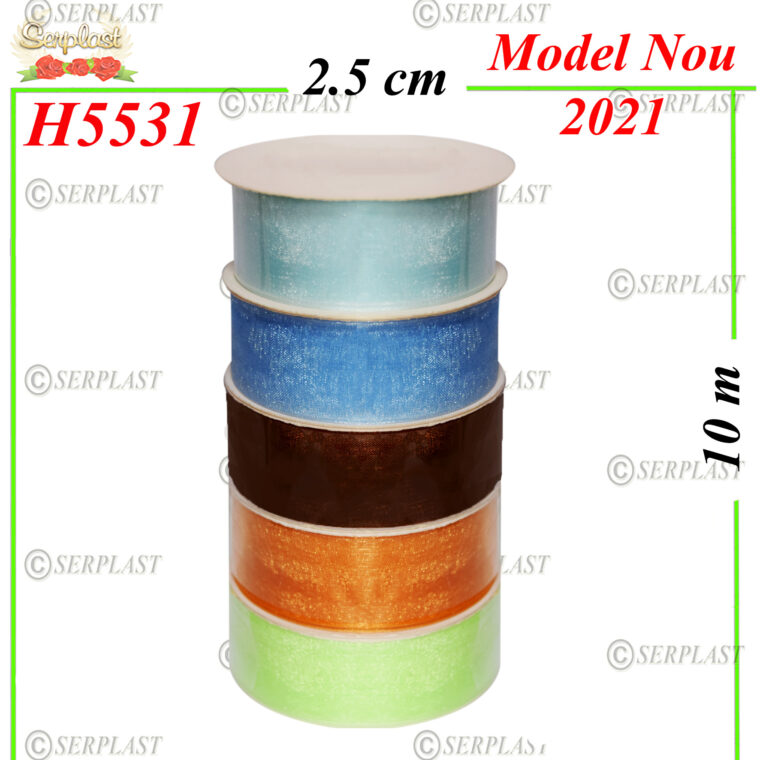 H5531 Ribon - 