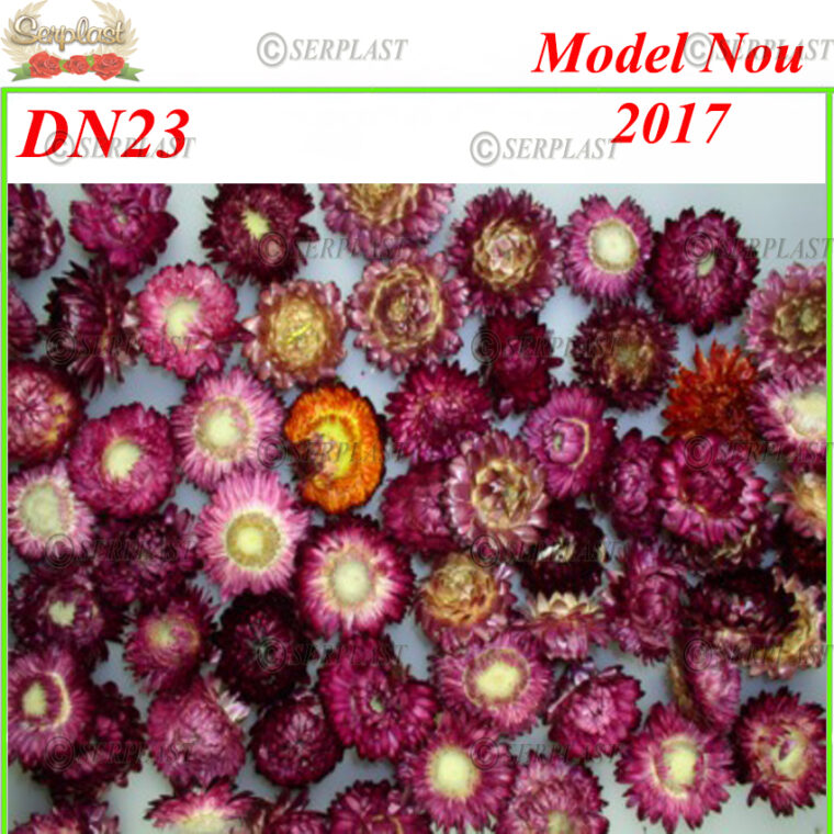 DN23, Cap Paie floare - Decor natural - Serplast