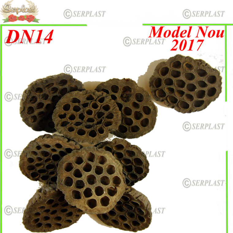DN14, Lotus Mare natur - Decor natural - Serplast