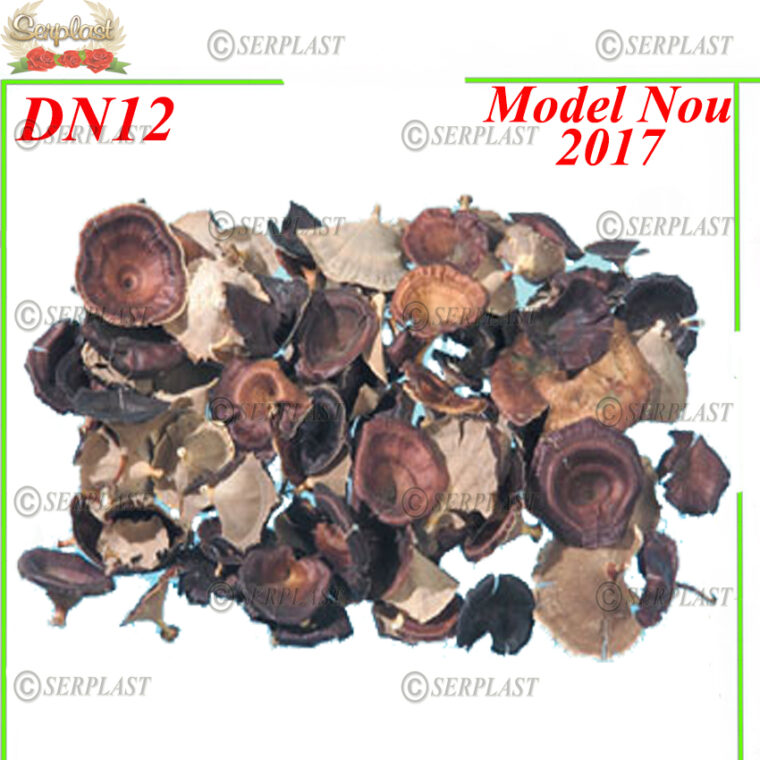 DN12, Ciuperca uscata - Decor natural - Serplast