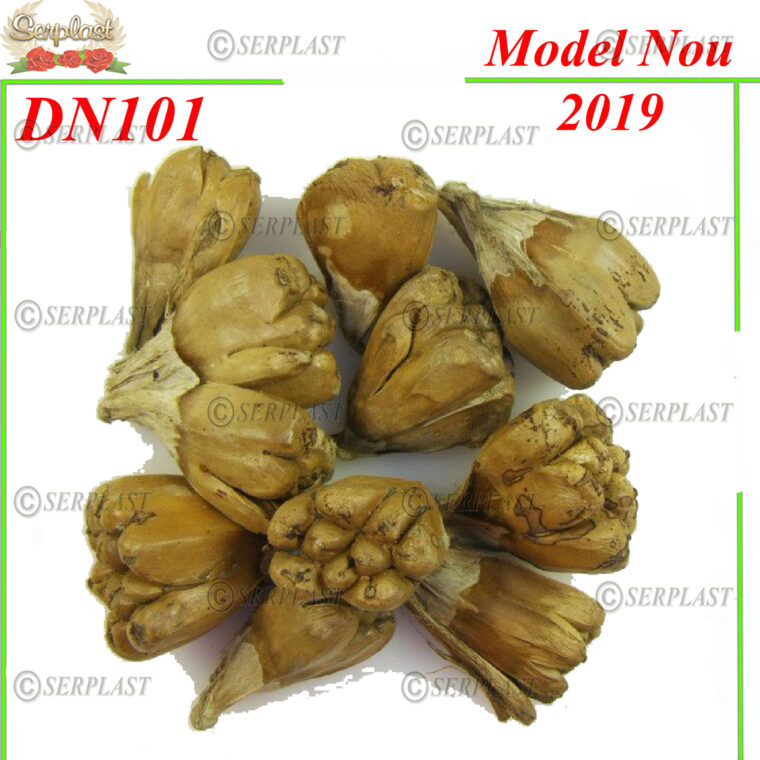 DN101, Picior Cămilă Natur 450 gram - Decor natural - Serplast