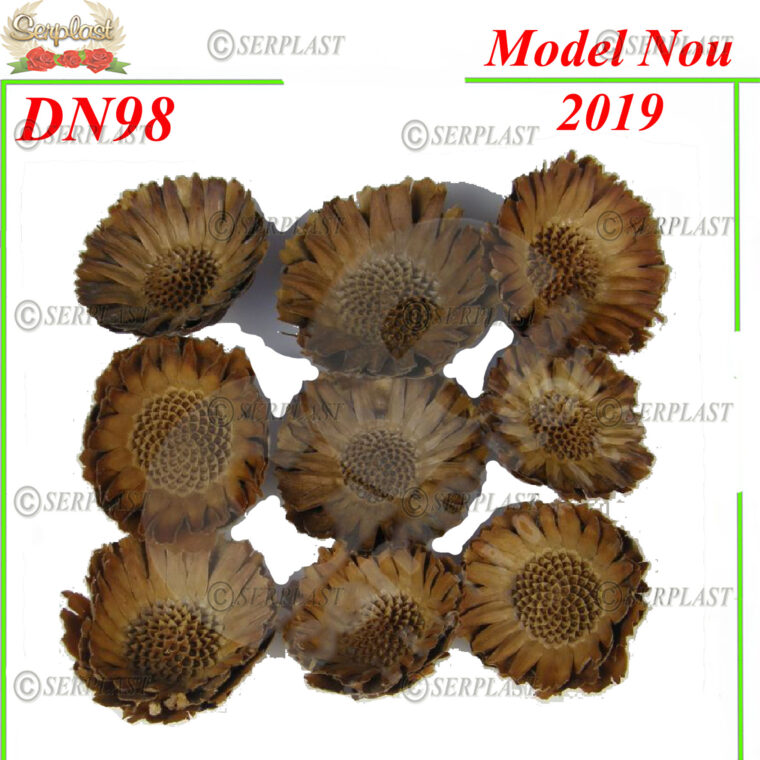 DN98, Cap Protea - Decor uscat - Serplast