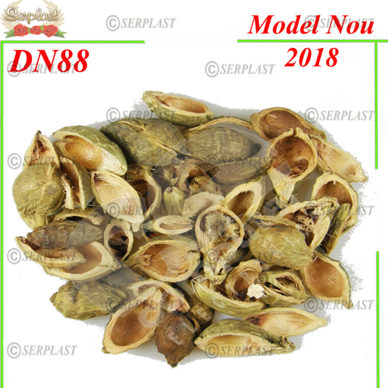 DN88, Nuc Betal taiat  - Serplast - Decor natural