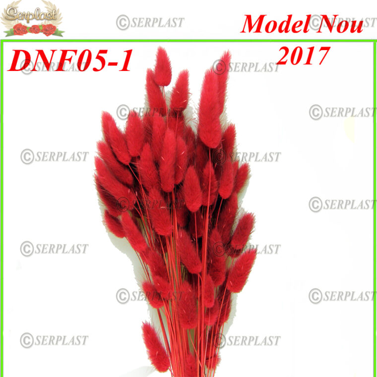 DNF05-1,  Lagurus cu fir - Serplast - Decor natural cu fir