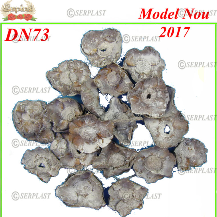 DN73, Floare cocos cu brumă - Decor uscat- Serplast