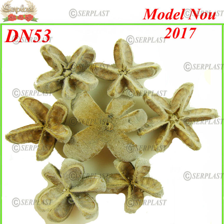 DN53, Portocale natur- Decor natural - Serplast