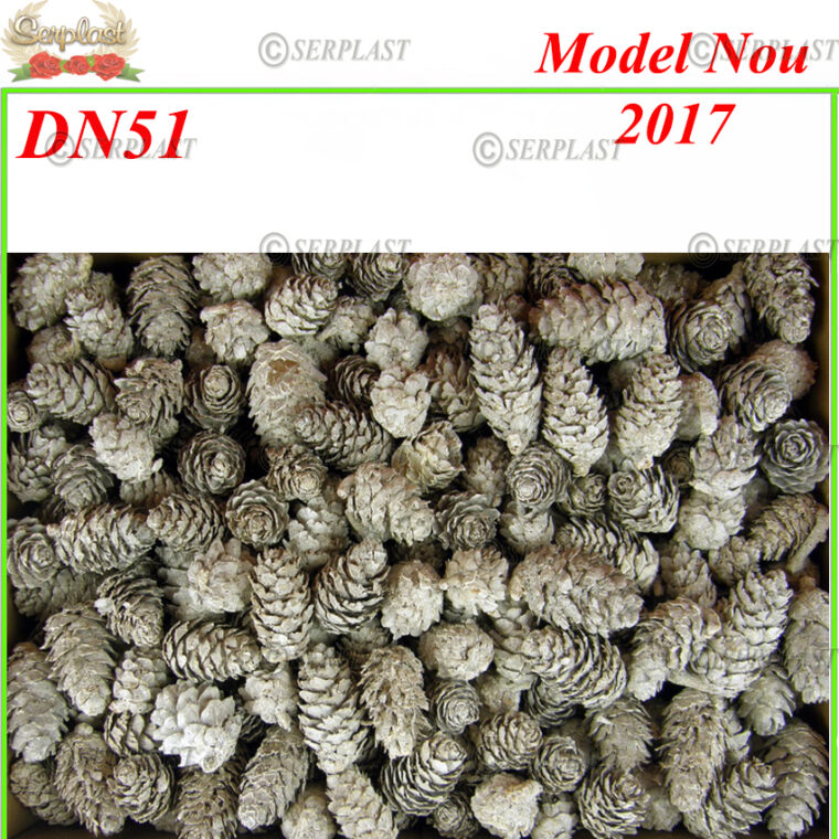 DN51, Con larice cu zăpadă- Decor natural - Serplast