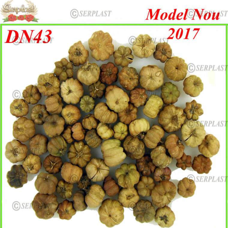 DN43, Liliputi dovleac natur - Decor natural - Serplast
