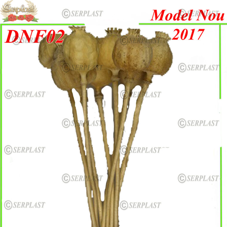 DNF02, Mac mijloc - Serplast - Decor natural cu fir