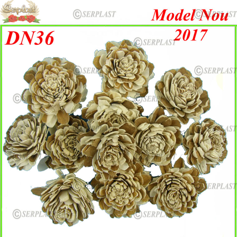 DN36, Ming Cap cocos bicolor  - Serplast - Decor uscat 