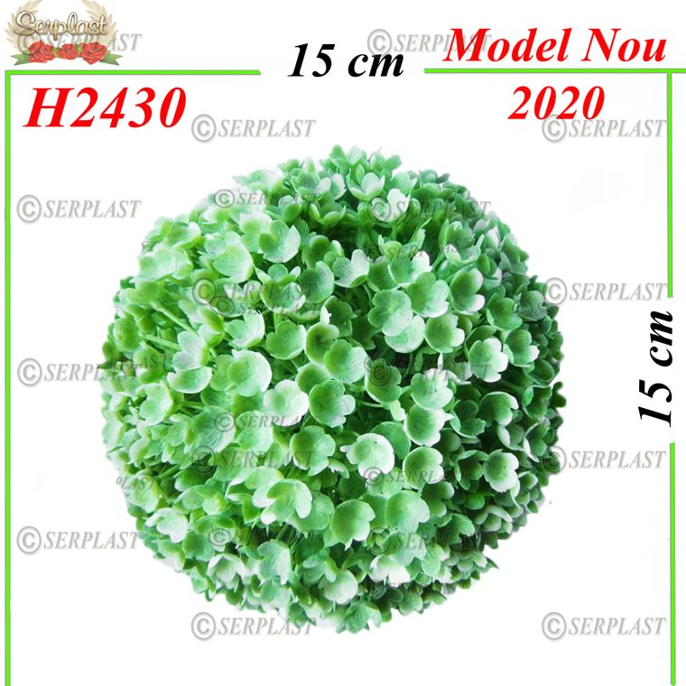 H2430 Buxus-Articole din magazinul nostru-Serplast