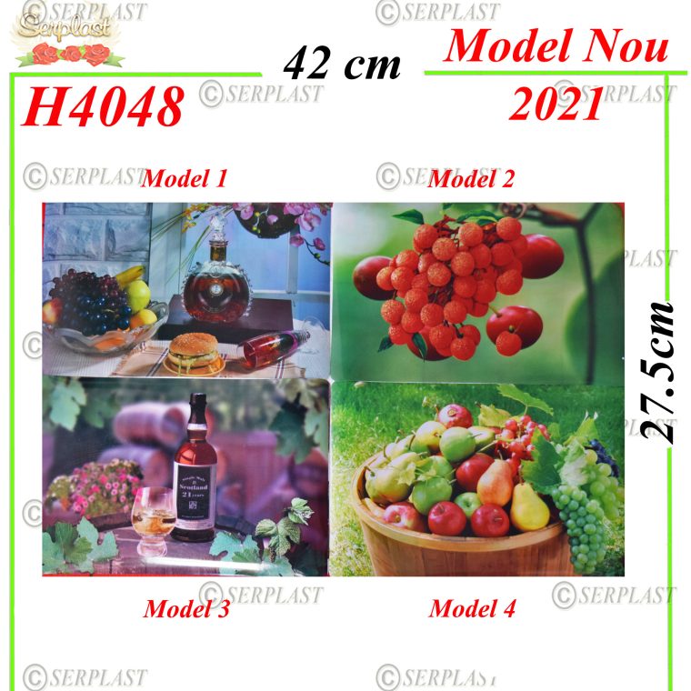 H4048 Suport Farfurie-Articole din magazinul nostru-Serplast