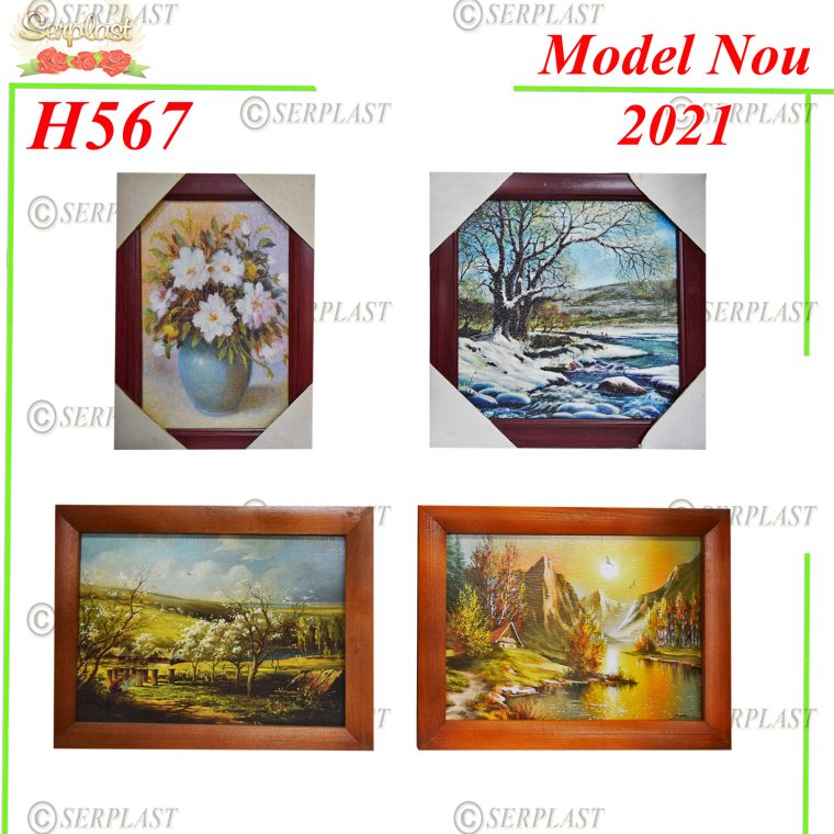 H567 Tablou-Articole din magazinul nostru-Serplast