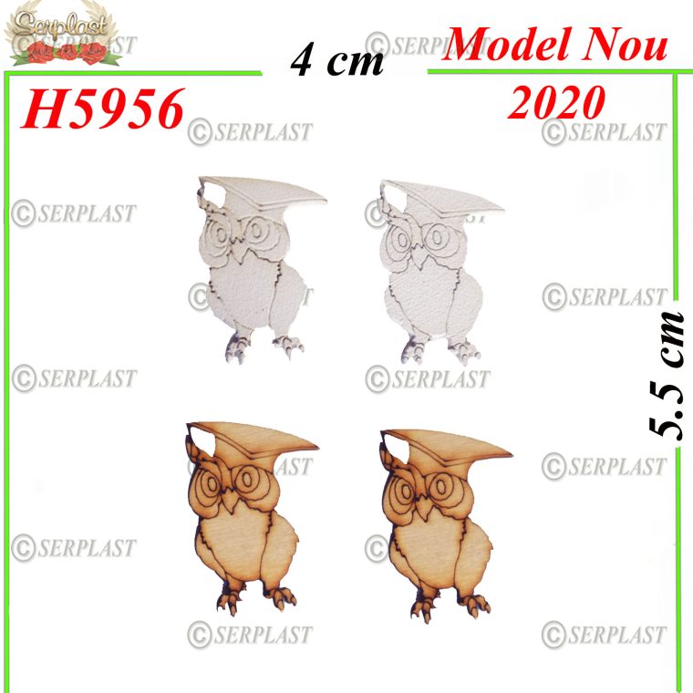 H5956 Decor Lemn Bufniță Absolvire-Articole din magazinul nostru-Serplast