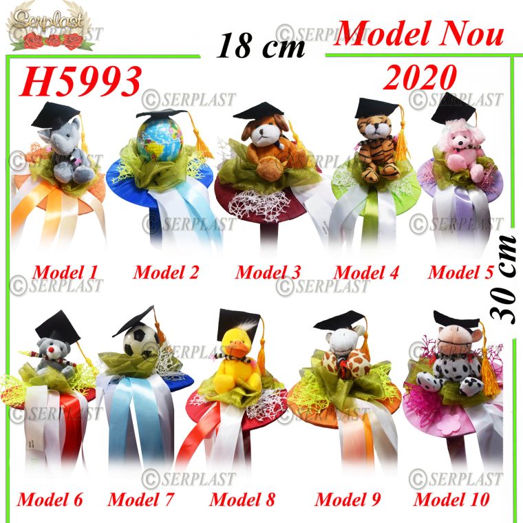 H5993 Buchet Absolvire-Articole din magazinul nostru-Serplast