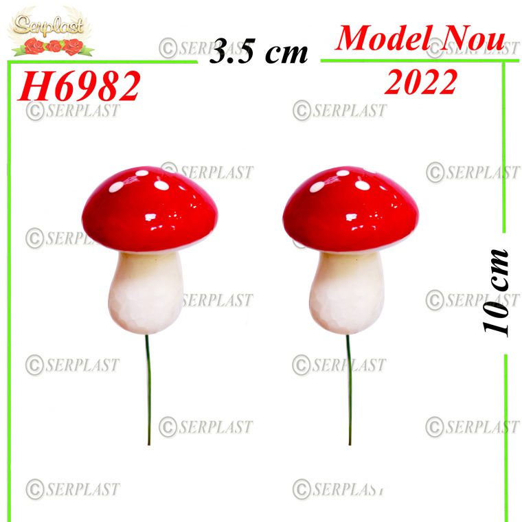 Ciuperca Mare-H6982-1.1lei-Articole din magazinul nostru