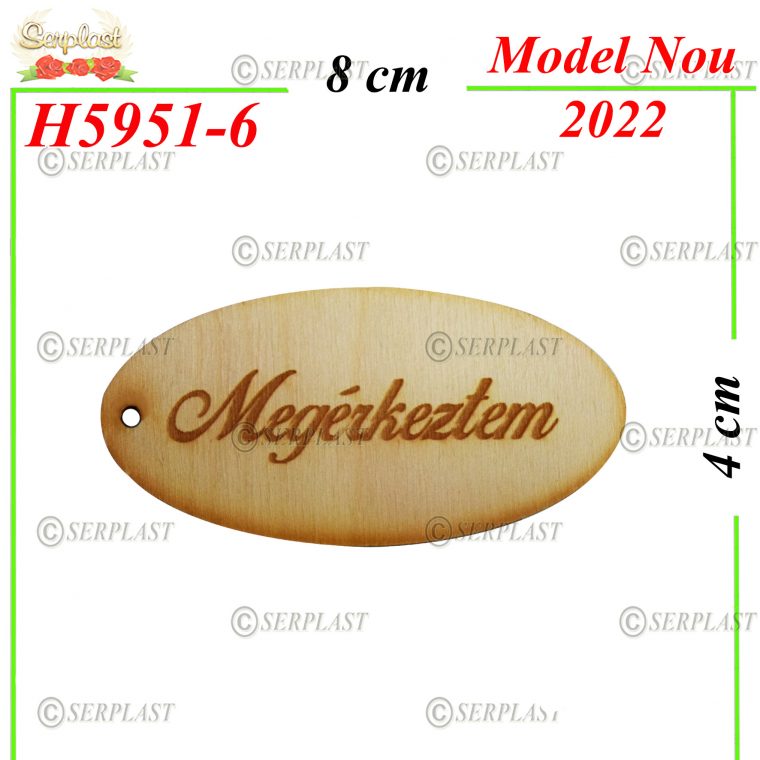 Decor Lemn cu text-H5951-6- 3Lei-Decor din Lemn