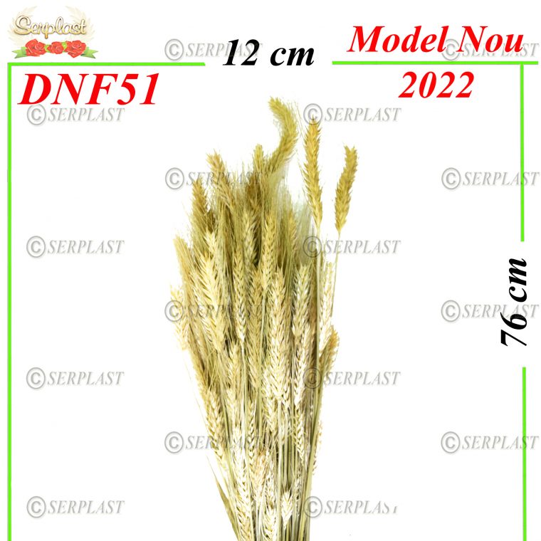 DNF51-Grau Natural-10 lei-Decor Natural cu fir-serplast