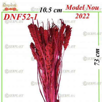DNF52-1-Ciumiza-10 lei-Decor Natural cu fir-serplast