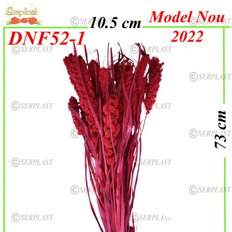 DNF52-1-Ciumiza-10 lei-Decor Natural cu fir-serplast