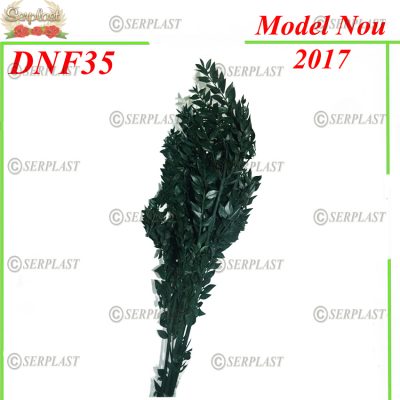 Ruscus uscat DNF35 - Serplast - Decor uscat