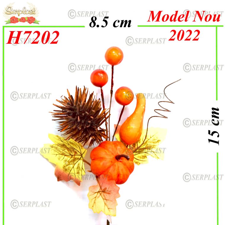 H7202-Decor Dovlecei-4lei-Articole de toamna-Serplast magazin