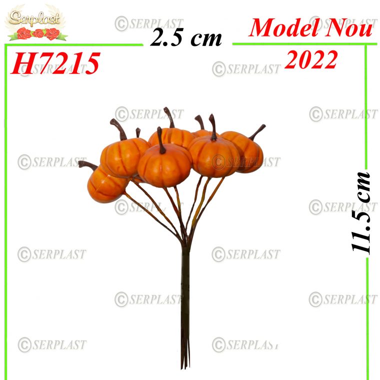 H7215-Decor pick-5lei-Articole de toamna-Serplast magazin