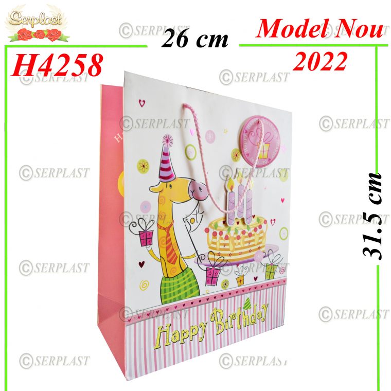 H4258-Punga Cadou-5.5lei-Pungi cadou-Sertplast magazin
