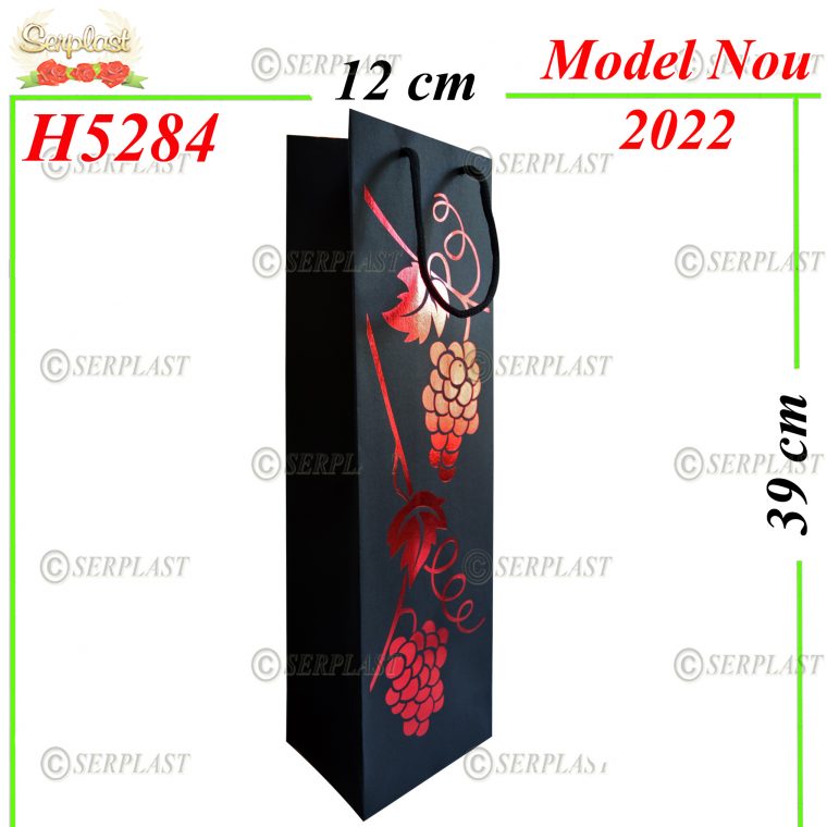 H5284-Punga Cadou-2lei-Pungi cadou-Serplast magazin