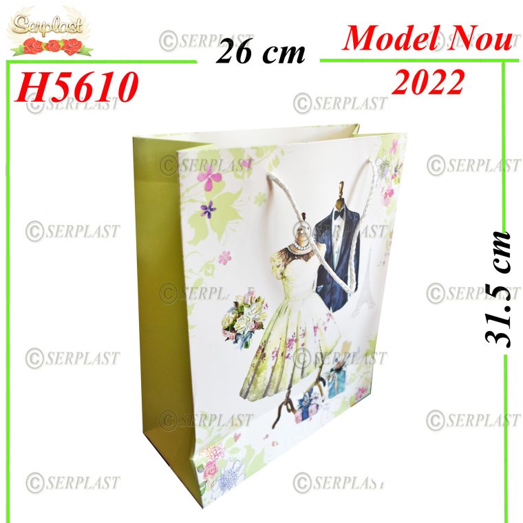 H5610-Punga cadou-5.5lei-Pungi cadou-Serplast magazin