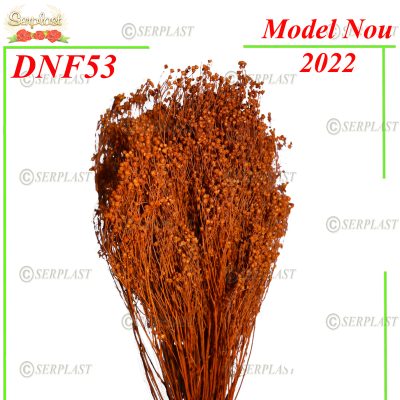 Matura-DNF53-15lei-Decor Natural cu fir-Serplast