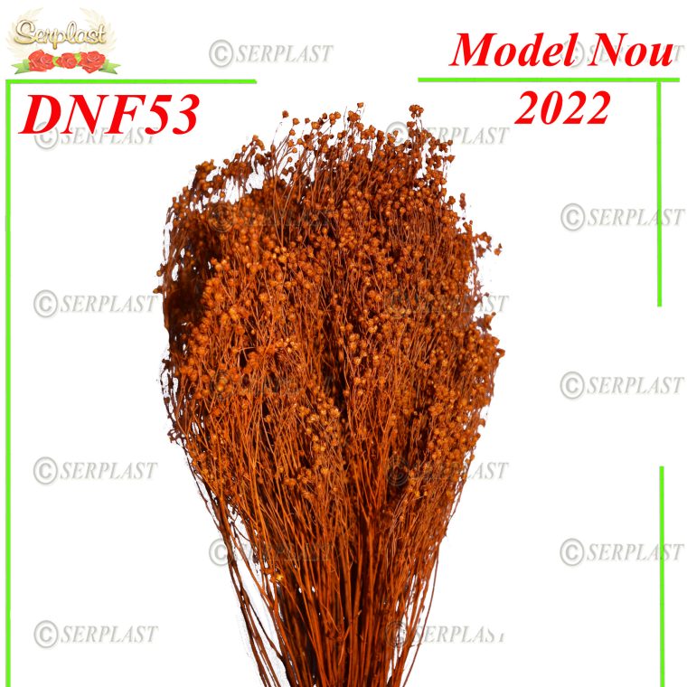 Matura-DNF53-15lei-Decor Natural cu fir-Serplast