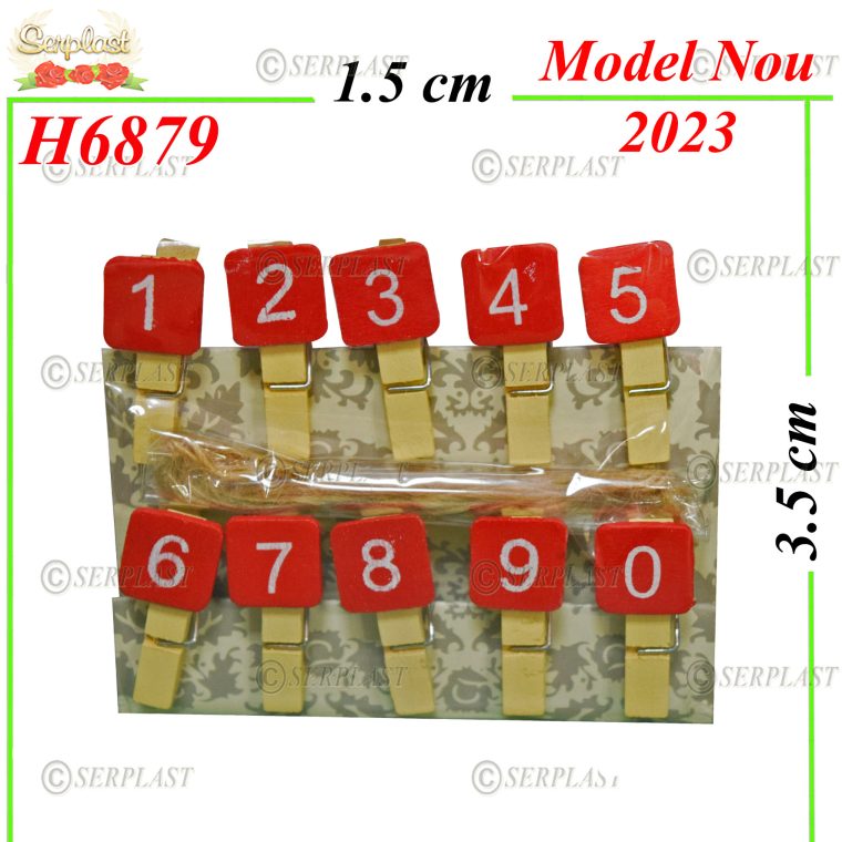 H6879-Decor Clama-5 lei-Articole din magazinul nostru-Serplast