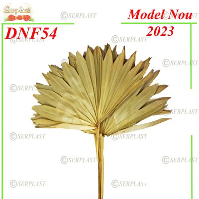 DNF54-Frunza Palmier- Decor Natural cu fir-Serplast